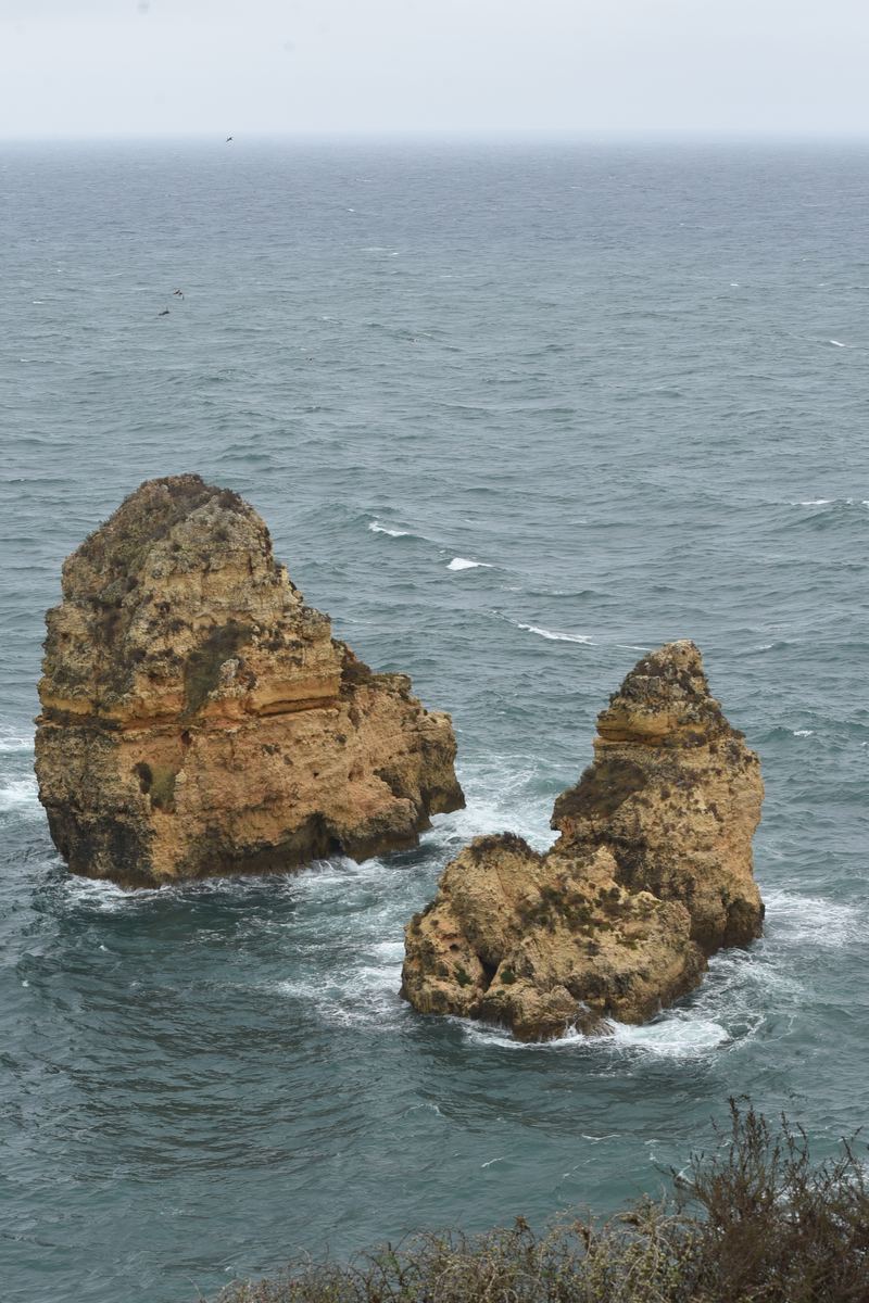pt_202409_0008.jpg
